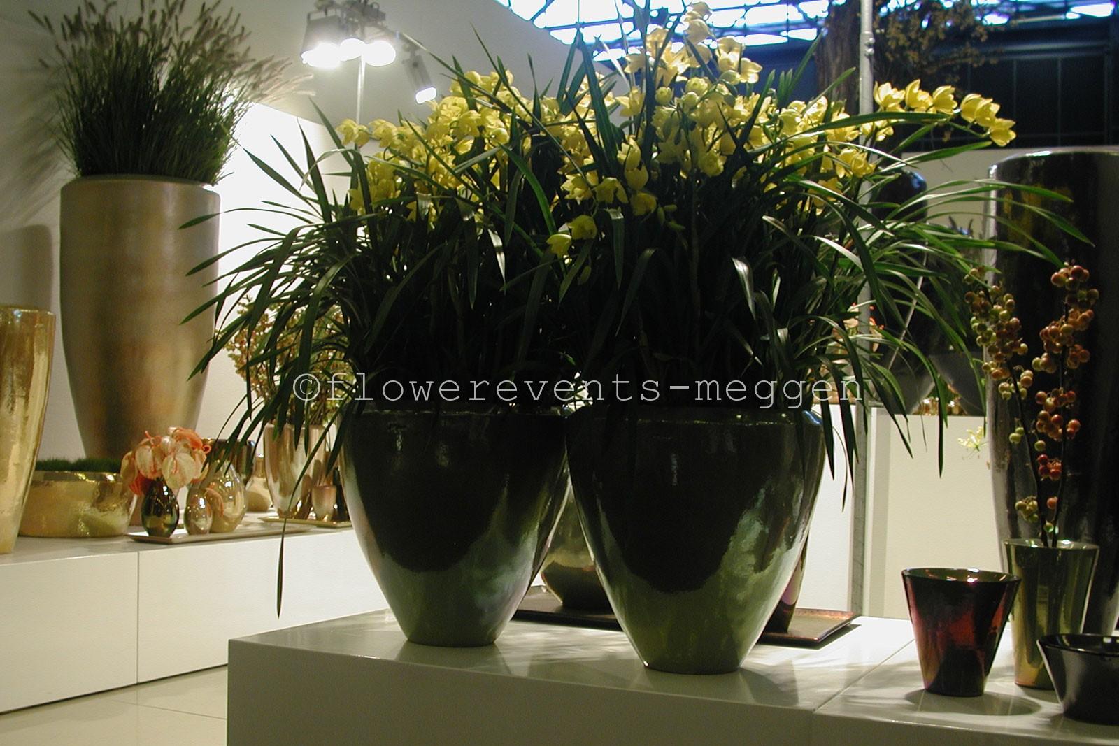 Mobach J2 herbst color with cymbidium orchids