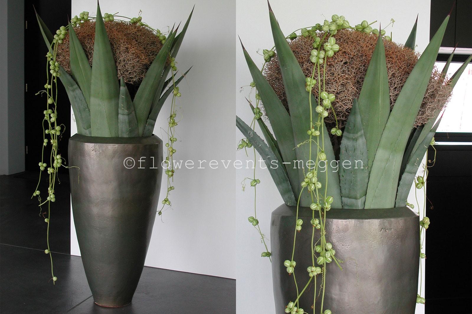 Mobach J6 with agave leaves and creta-euphorbia