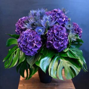 Hortensias et plus encore