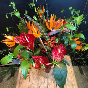 Gloriosa superba