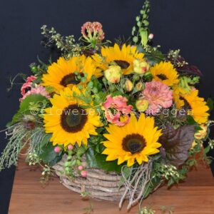 Sunflowers in a basket