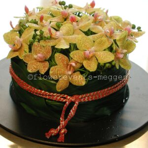 Flower pie with orchids