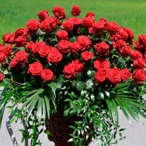 Bouquet of roses 80 cm