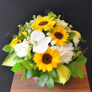 Bouquet de tournesols jaune- blanc combination