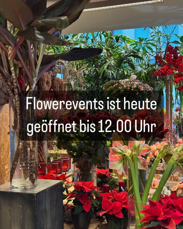 Heute bis 12.00 Uhr geöffnet
#sonntagsgeöffnet #florist #sonntagsblumen #advent #xmas