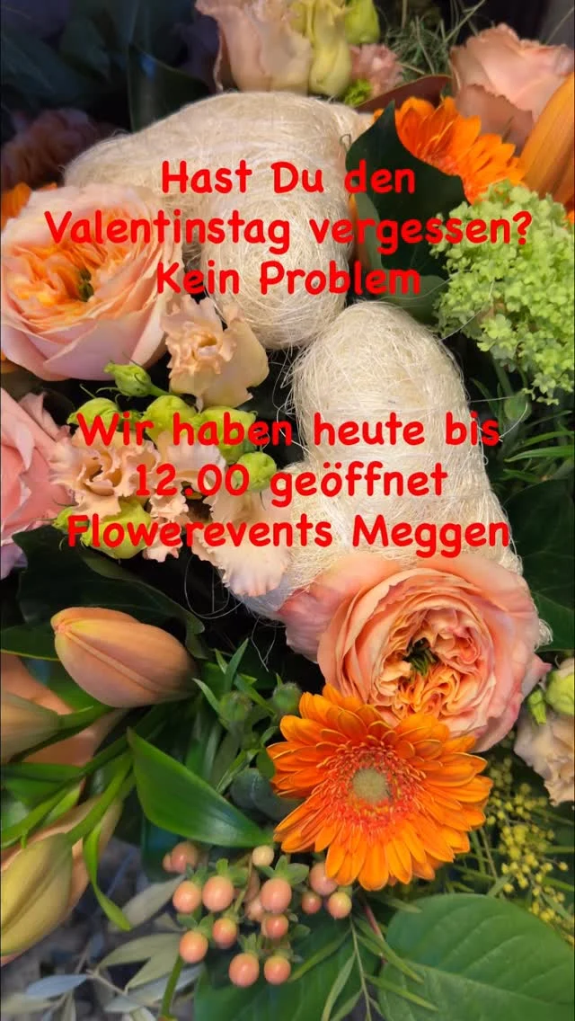 Publication 18057236267677839 Instagram