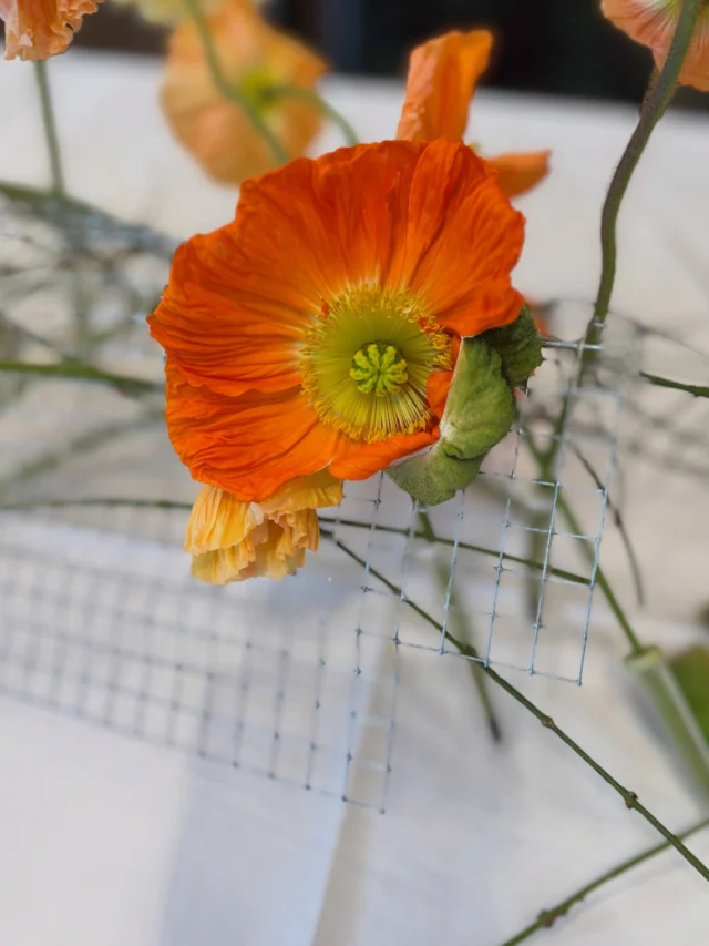 Table decoration flowerevents for a birthday party
#salmon #poppies #table #decoration #floral