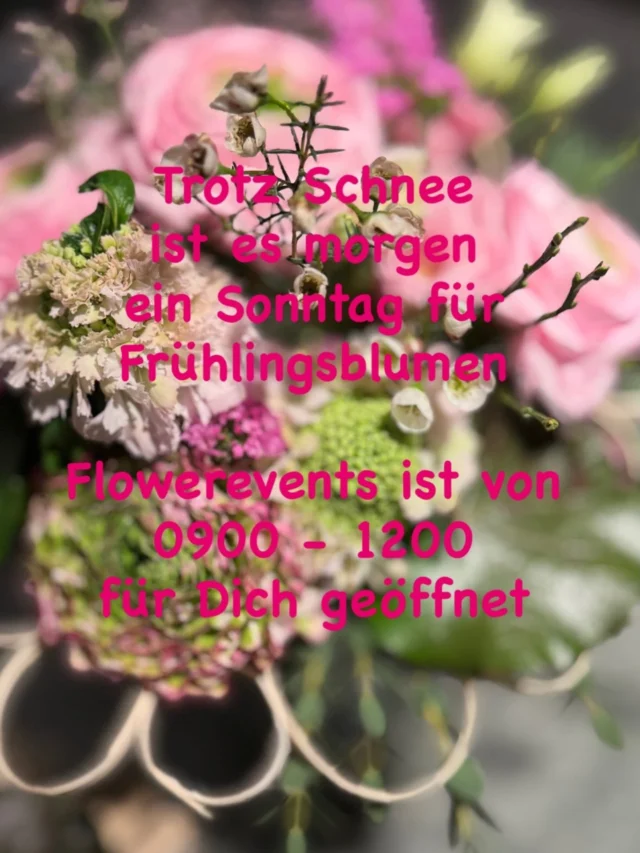 #sundayopen #frühlingsgefühle #flowerpower #florist #sonntagsblumen