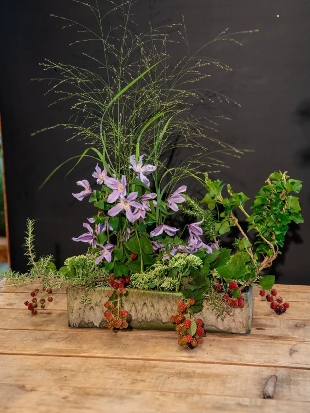 Clematis in a square Mobach bowl in combination with with sedum, hedera helix erects, rosemary and blackberries #floral #floraldesign #masterflorist #florist #florist @marginpar @clematis flowerevents
