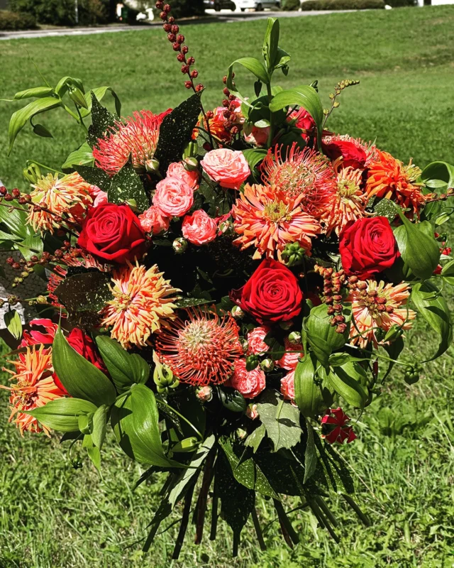 Herbstlicher Strauss mit Gloriosa, Leucospermum, Rosen, Buschrosen, Zinnien, Mombretien
#floral #masterflorist #flowerpower #karlzuber #flowerevents #autumn
